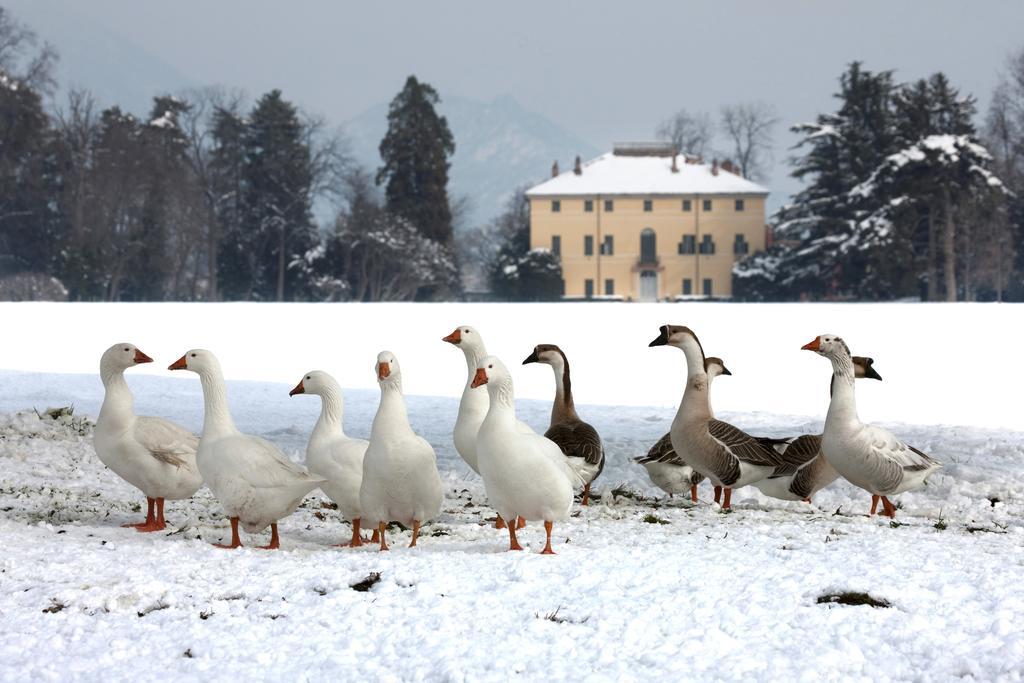 Agriturismo Il Torrione ピネローロ エクステリア 写真