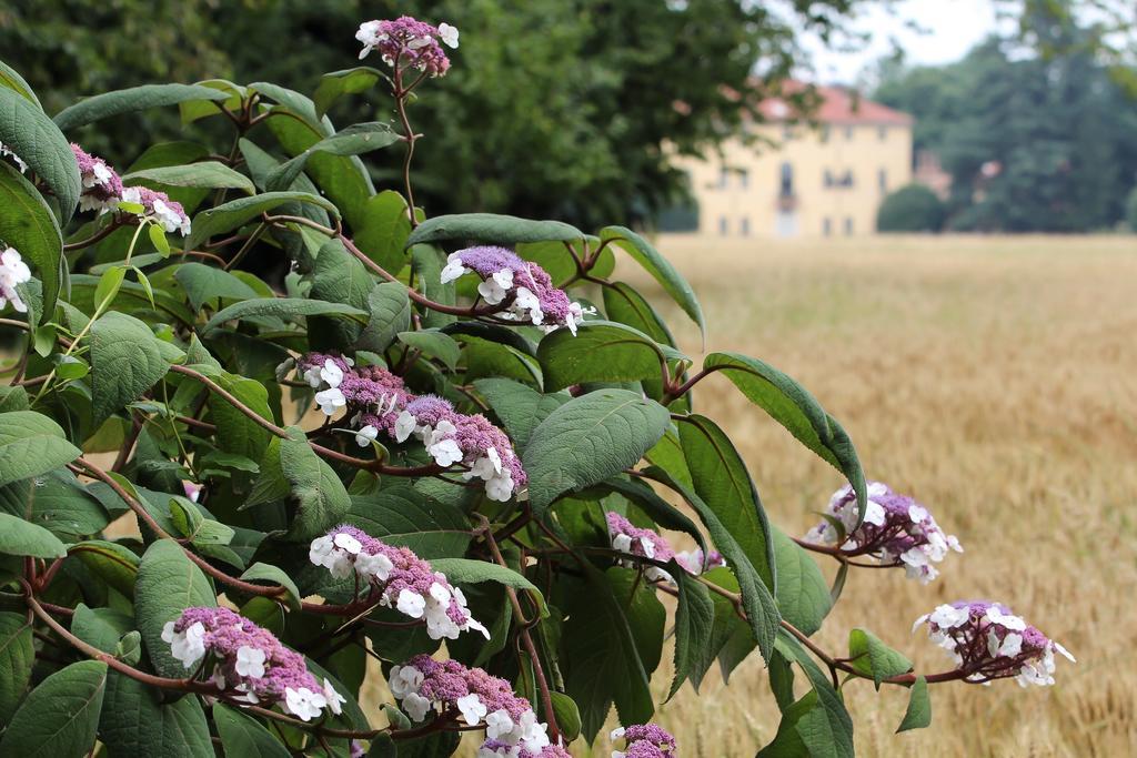 Agriturismo Il Torrione ピネローロ エクステリア 写真