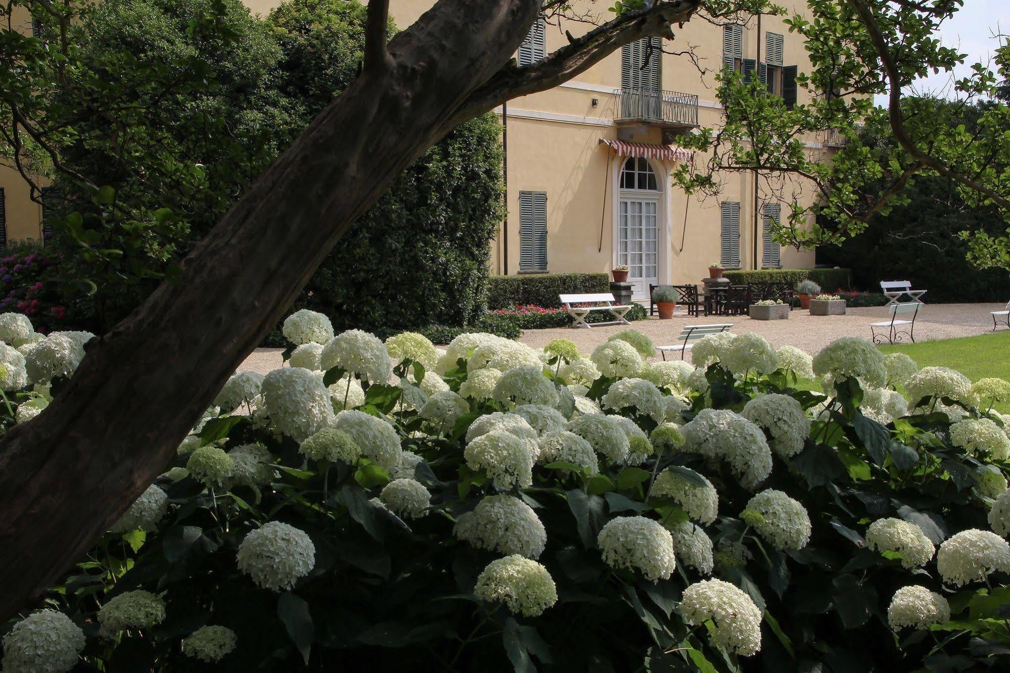 Agriturismo Il Torrione ピネローロ エクステリア 写真